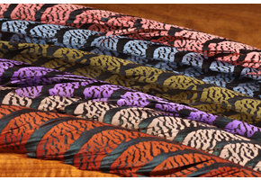 Lady Amherst Pheasant Tail Feather