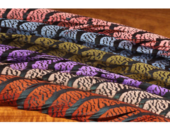 Lady Amherst Pheasant Tail Feather