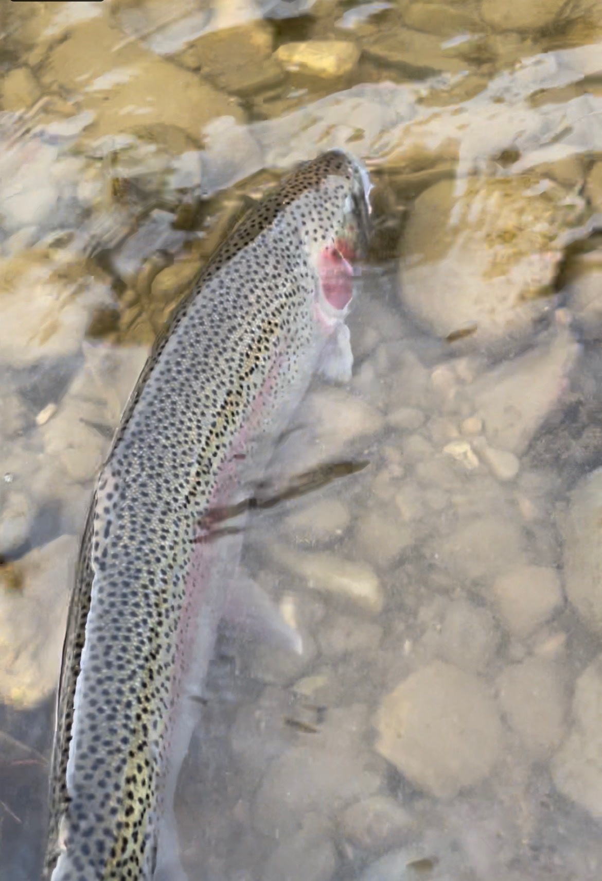 Fishing Report 29 Oct. 2021 - 5 Nov. 2021
