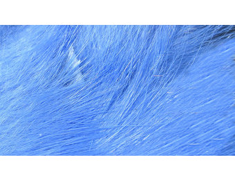 Rabbit Strips Baby Blue#38