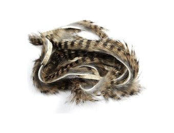 Black Barred Rabbit Strips #176 Grizzly