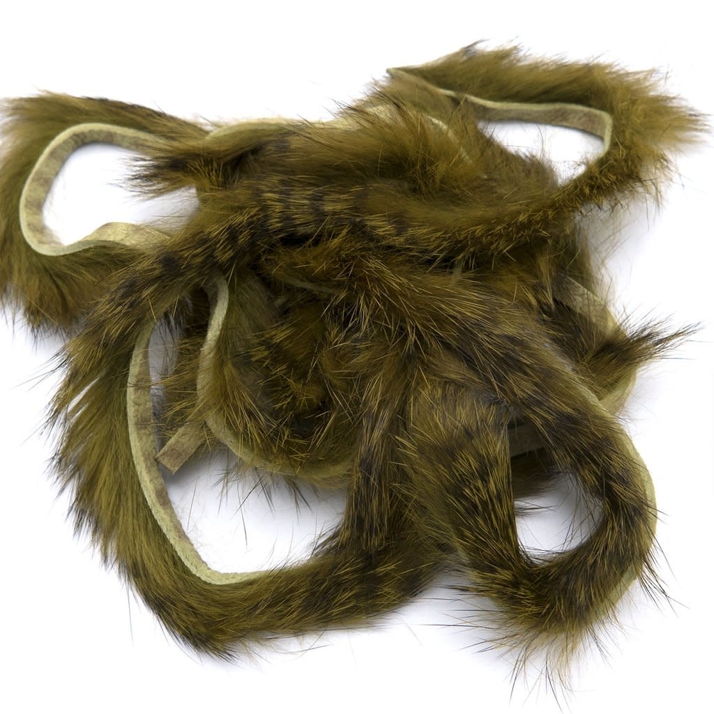 Black Barred Rabbit Strips #270 Olive Variant