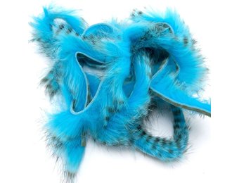 Black Barred Rabbit Strips #125 Fl Blue