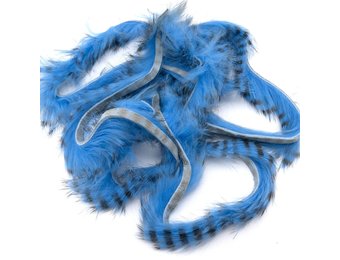 Black Barred Rabbit Strips #6 Baby Blue