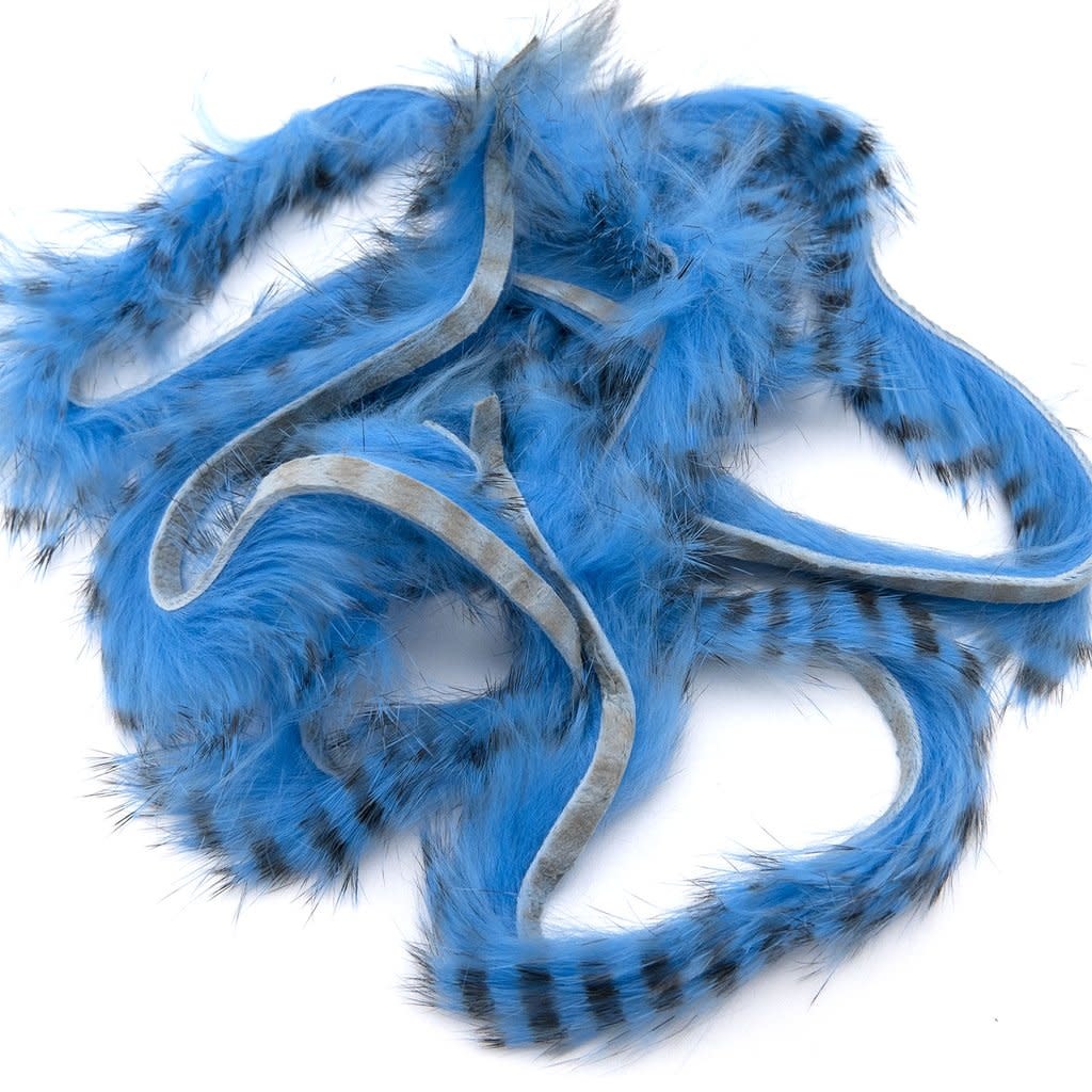 Black Barred Rabbit Strips #6 Baby Blue