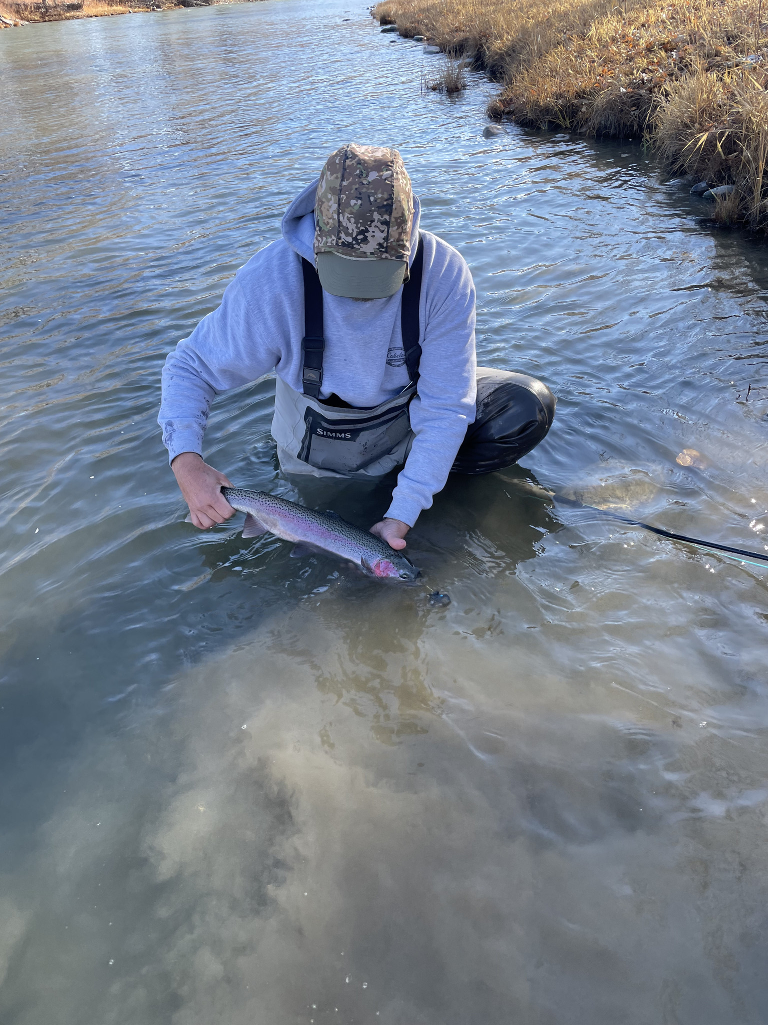 Fishing Report Nov 19 2021-Nov 26 2021