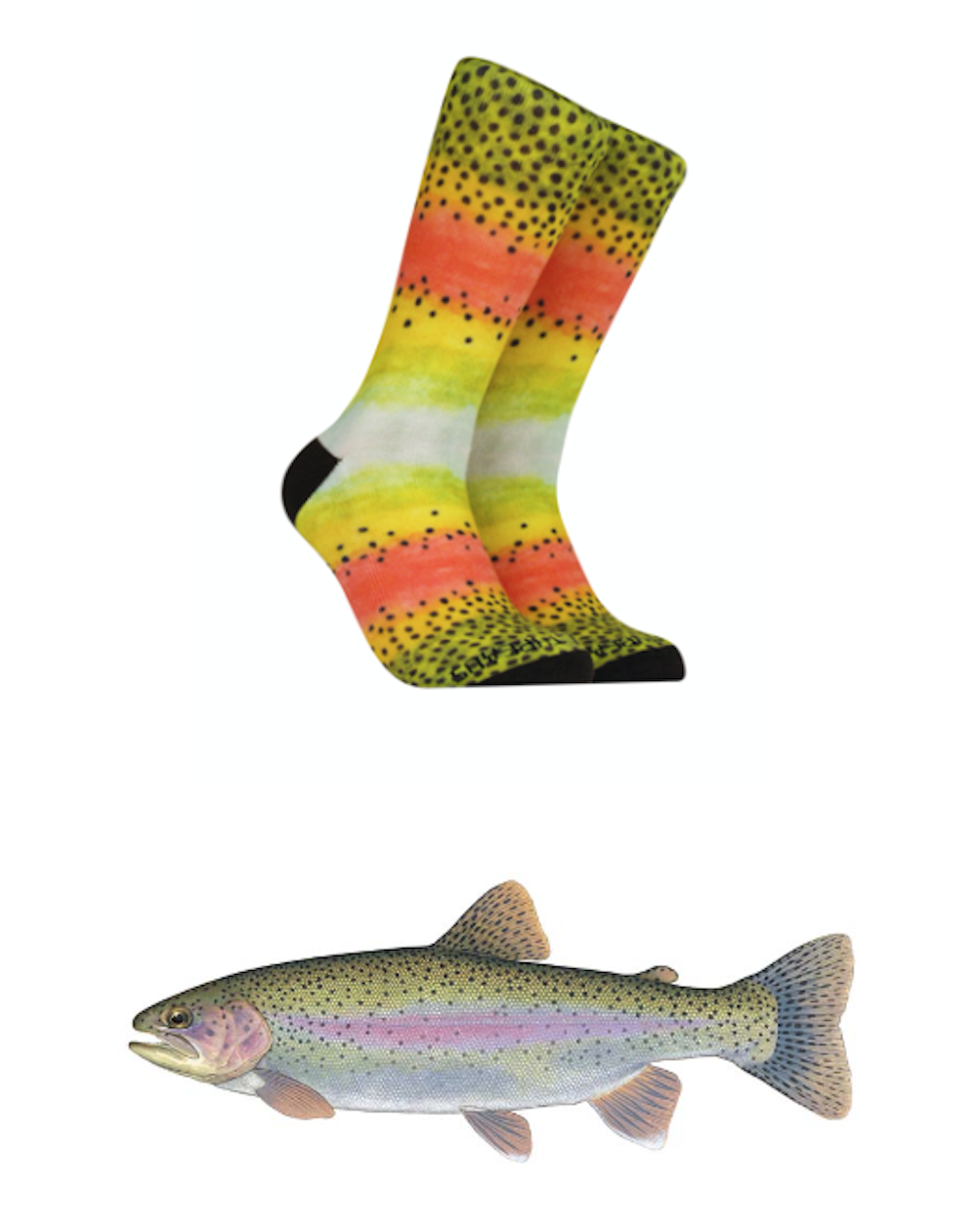 Reel Threads Trout Socks - Salmon River Fly Box