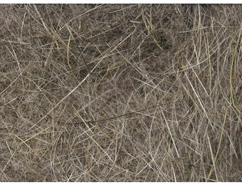 Hareline Dubbin Dark Hare's Ear #5