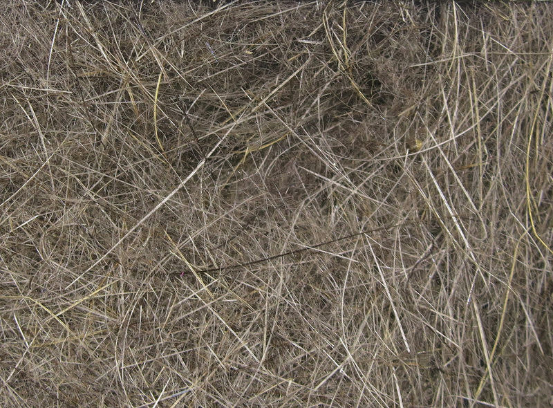 Hareline Dubbin Dark Hare's Ear #5