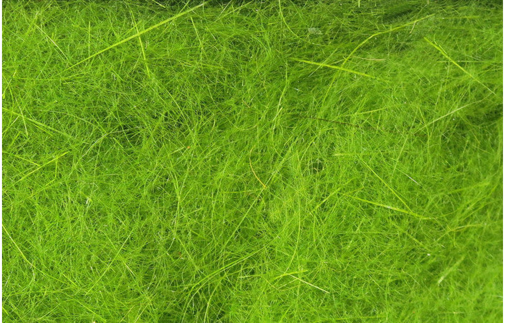 Hareline Dubbin Caddis Green #14