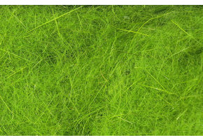 Hareline Dubbin Caddis Green #14