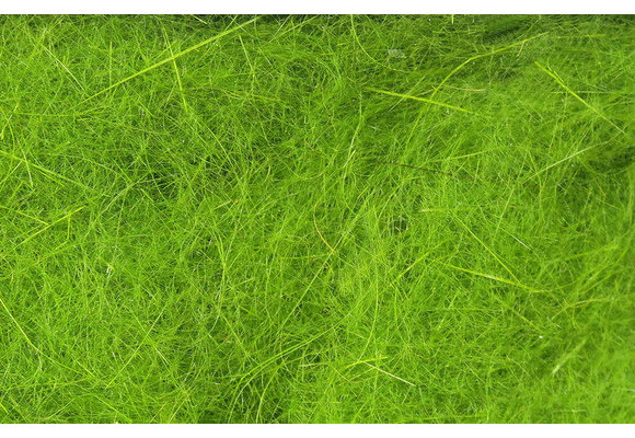 Hareline Dubbin Caddis Green #14