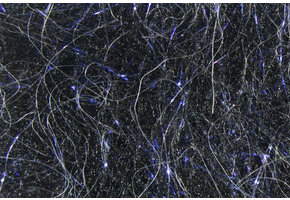 Senyo's Laser Dub #11 Black