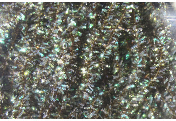 Midge Cactus Chenille #87 Dark Brown