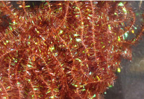 Midge Cactus Chenille #320 Root Beer