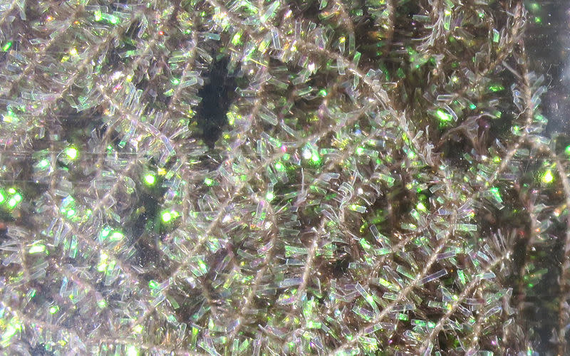 Midge Cactus Chenille #106 Dun Gray