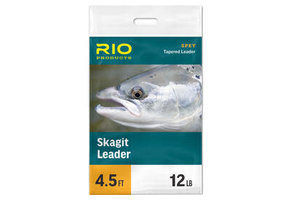 RIO SKAGIT LEADER
