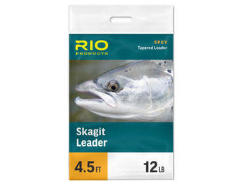 RIO SKAGIT LEADER