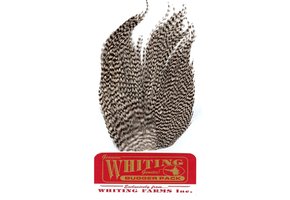 Whiting Bugger Pack Grizzly