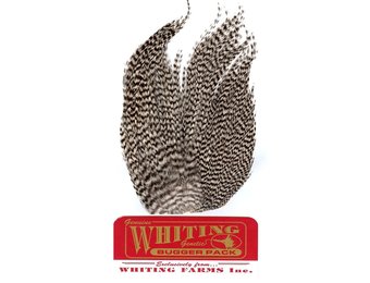 Whiting Bugger Pack Grizzly