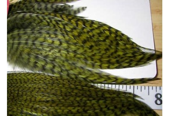 Whiting Bugger Pack Grizzly dyed Dark Olive