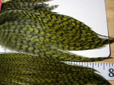 Whiting Bugger Pack Grizzly dyed Dark Olive