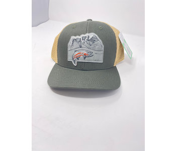 Rep Your Water Rocky Mountain 2.0 Hat