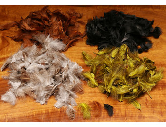 Premium Hungarian Partridge Feathers