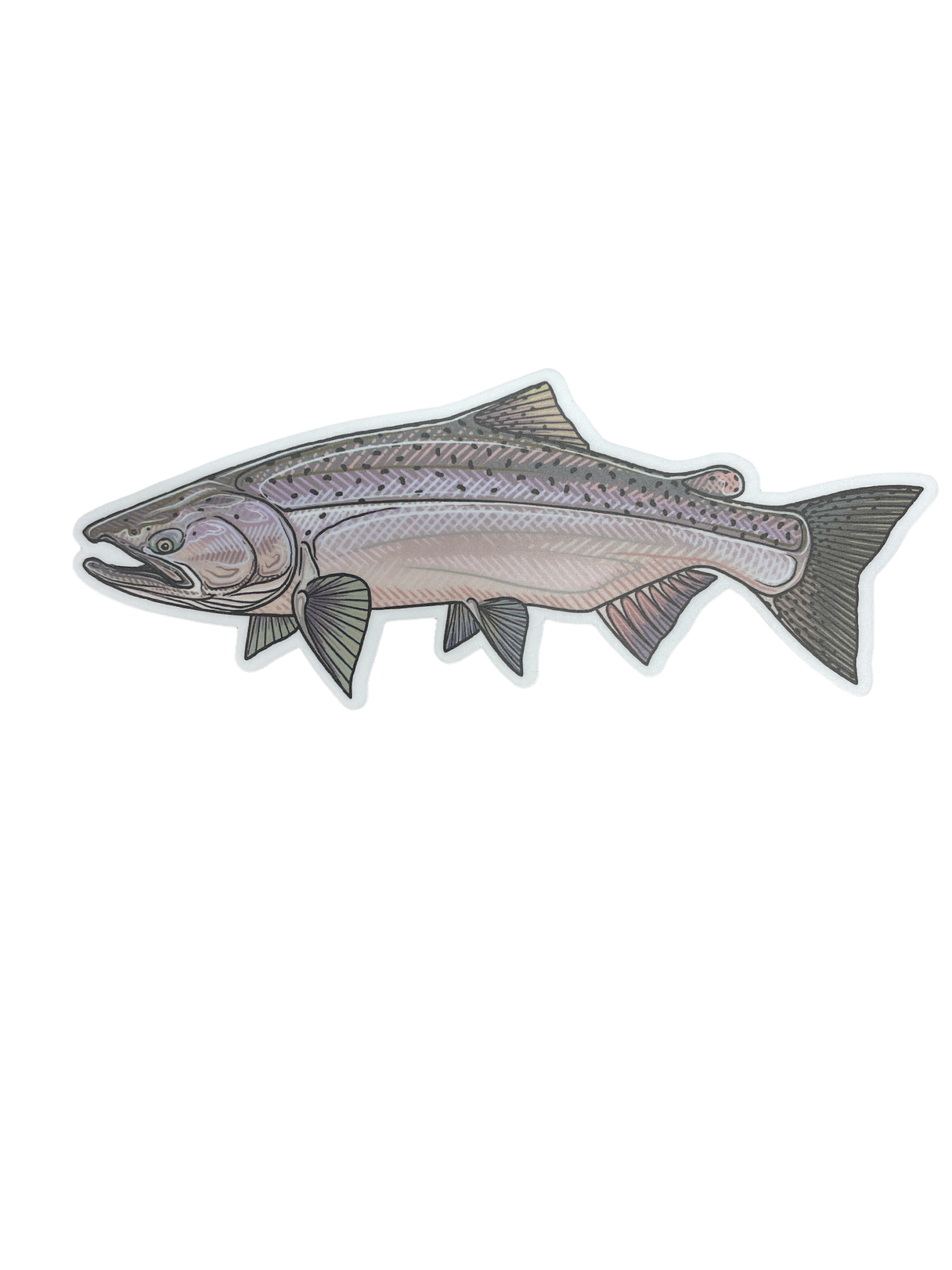 Casey Underwood Chinook Salmon Sticker