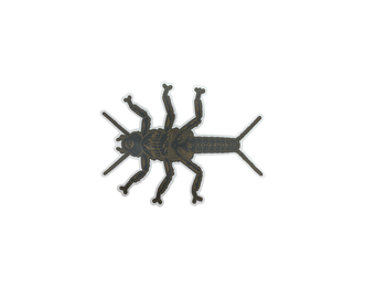 Nate Karnes Golden Stonefly Sticker