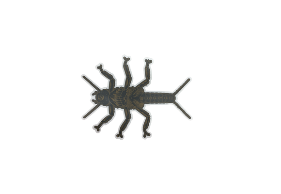 Nate Karnes Golden Stonefly Sticker