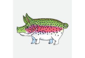 Nate Karnes Rainbow Trout Pig Sticker