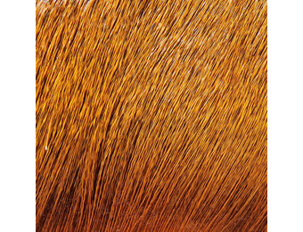 Premo Deer Hair Strip Rusty Brown #323