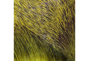 Premo Deer Hair Strip Olive #263