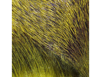 Premo Deer Hair Strip Olive #263