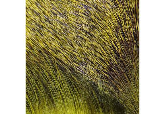 Premo Deer Hair Strip Olive #263