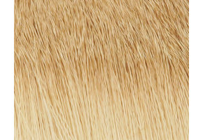 Coastal Deer Hair Bleached #3
