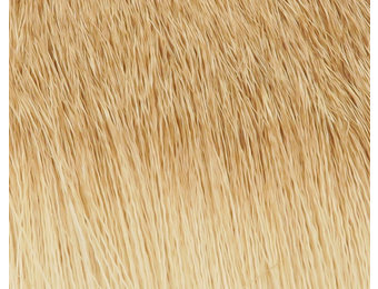 Coastal Deer Hair Bleached #3