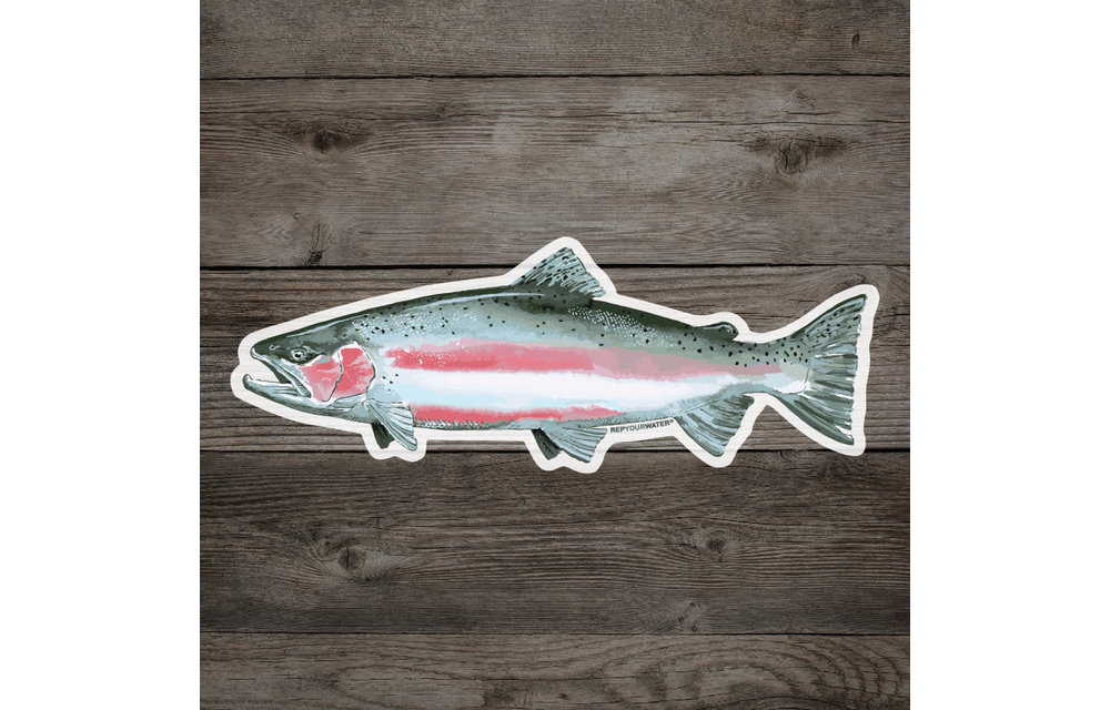 RYW Winter Steel Sticker