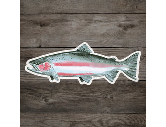 RYW Winter Steel Sticker