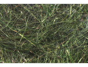 8 inch Ice Wing Fiber #167 Gray Minnow