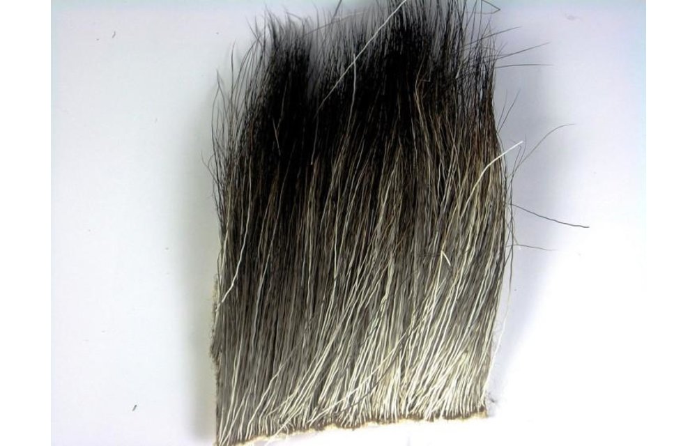 MOOSE BODY - 1 1/2 x 2 Natural