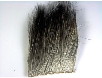 MOOSE BODY - 1 1/2 x 2 Natural