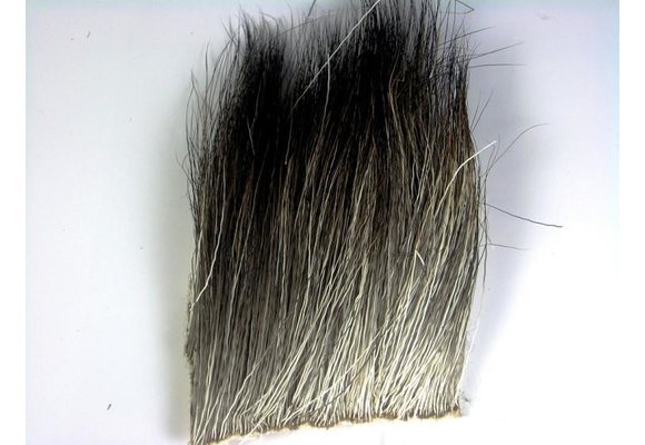 MOOSE BODY - 1 1/2 x 2 Natural