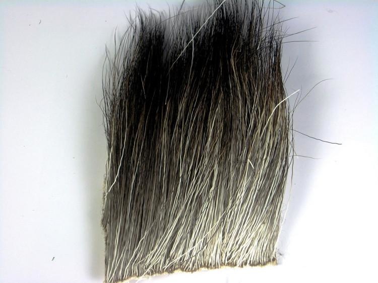 MOOSE BODY - 1 1/2 x 2 Natural