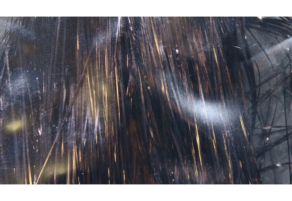 Flashabou Gun Metal #6916