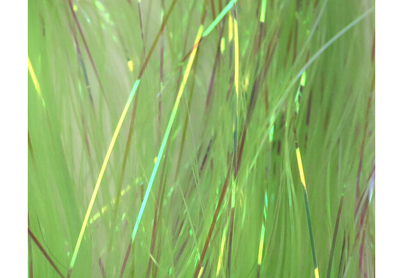 Dyed Pearl Flashabou Chartreuse #6962