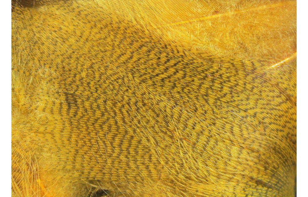 Hareline Mallard Flank