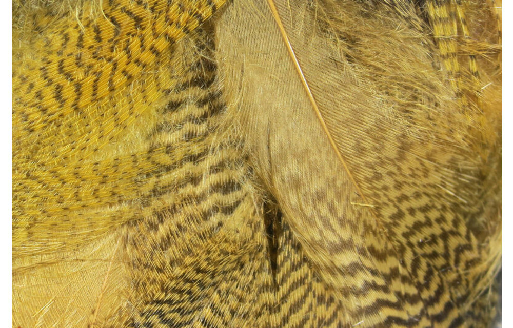Hareline Mallard Flank
