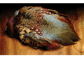Ringneck Pheasant Skin